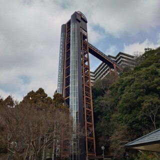 20250321_111246018.jpg