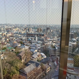 20250321_165439440.jpg