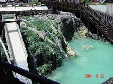 DSC00320.jpg