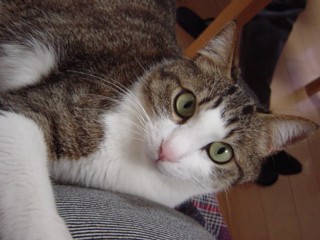 DSC006002.jpg