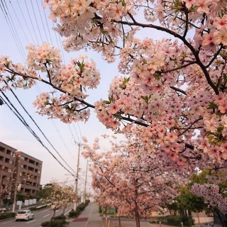 DSC_1829.jpg