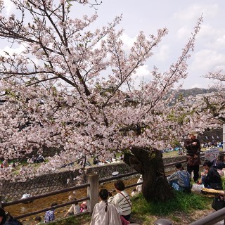 DSC_1922.jpg
