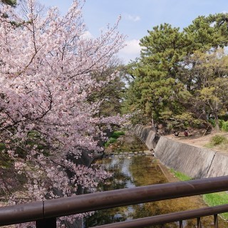 DSC_1952.jpg