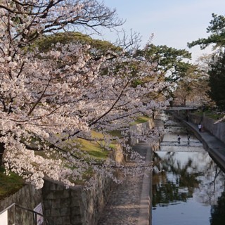 DSC_2287.jpg