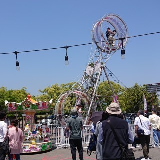 おすすめ！「さくらサーカス 大阪城夏の陣」失敗しない鑑賞方法: ネコ