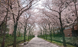DSC_2497.png