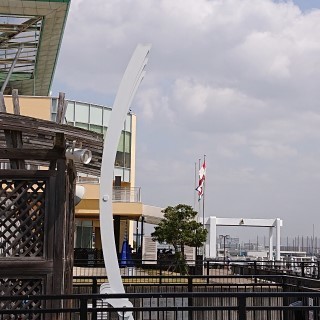 DSC_2559.jpg