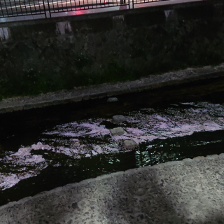 DSC_2654.png