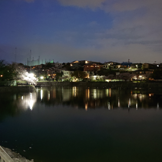 DSC_2660.png