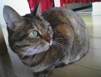 PAP_0012.jpg