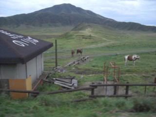 Paso7.jpg