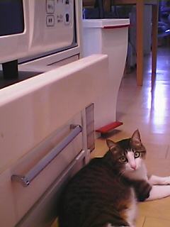 Patusoba.JPG