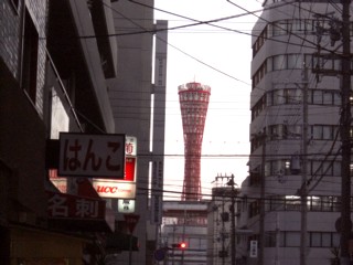 Pburako13.jpg