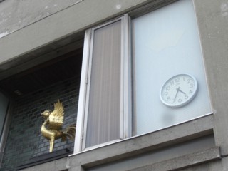 Pburako6.jpg