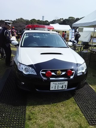Pcm6.jpg