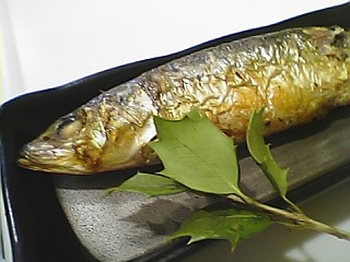 Pehom3.JPG