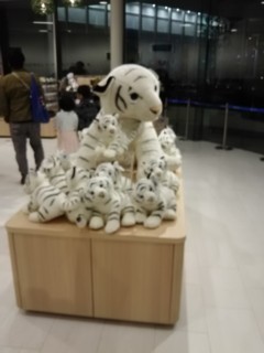 Pexpo12.jpg
