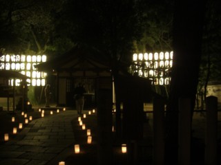 Pfukuakari8.jpg