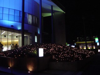 Pheni2.jpg