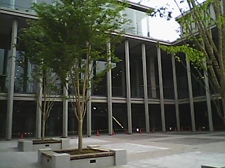 Phgbc11.JPG