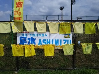 Phmwr5.jpg