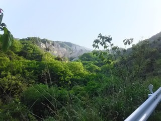 Phrk6.jpg