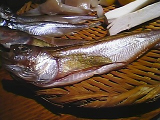 Pitiya16.JPG