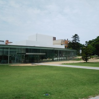 Pknsb1.jpg