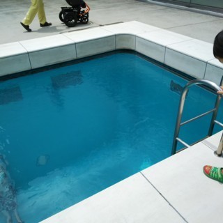 Pknsb4.jpg