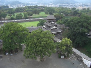 Pkumajo2.jpg
