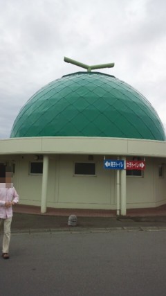 Pkumamo8.jpg