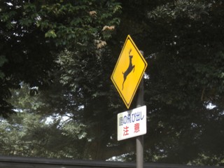 Pnannbanara14.jpg