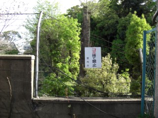 Pnannbanara20.jpg