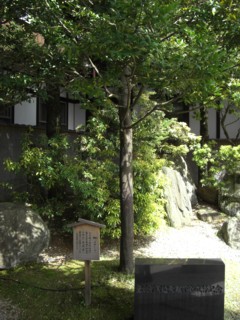 Pnarahotel4.jpg