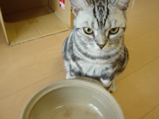 Pnekonabe5.jpg
