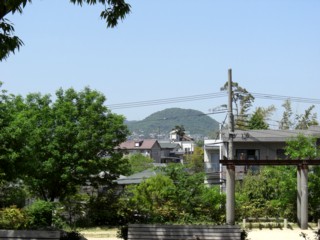 Pnisidako5.jpg