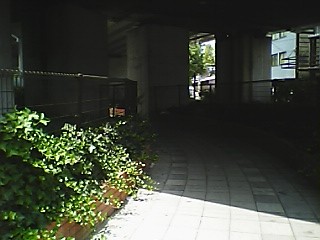 Pnisiic4.JPG