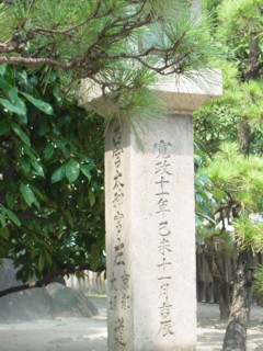 Pnisijiniti2.jpg
