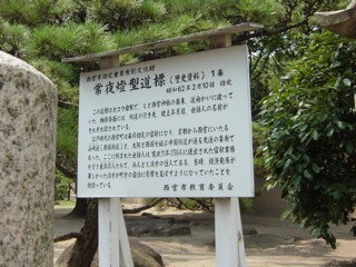 Pnisijiniti3.jpg