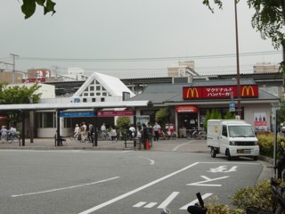 Pnisinomiya5.jpg