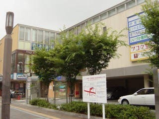 Pnisinomiya7.jpg
