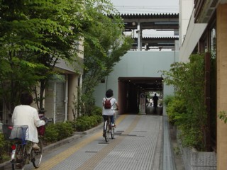 Pnisinomiya9.jpg
