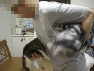 Pnityonuko3.jpg