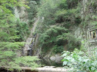Pnunobiki5.jpg