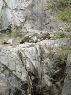 Pnunobiki8.jpg