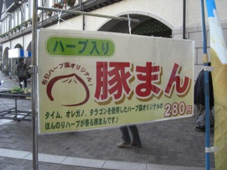 Pnunohabu3.jpg