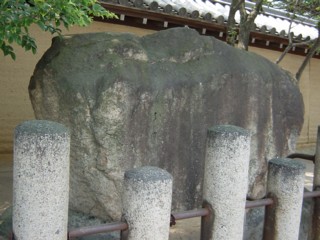 Poneribe3.jpg