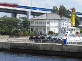 Prp14.jpg