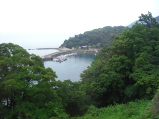 Psaino4.jpg