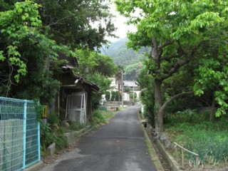 Psaino8.jpg